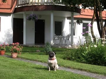 Фото номера Двухместный номер с 1 кроватью Гостевой дом Männi Guesthouse г. Хаапсалу 29